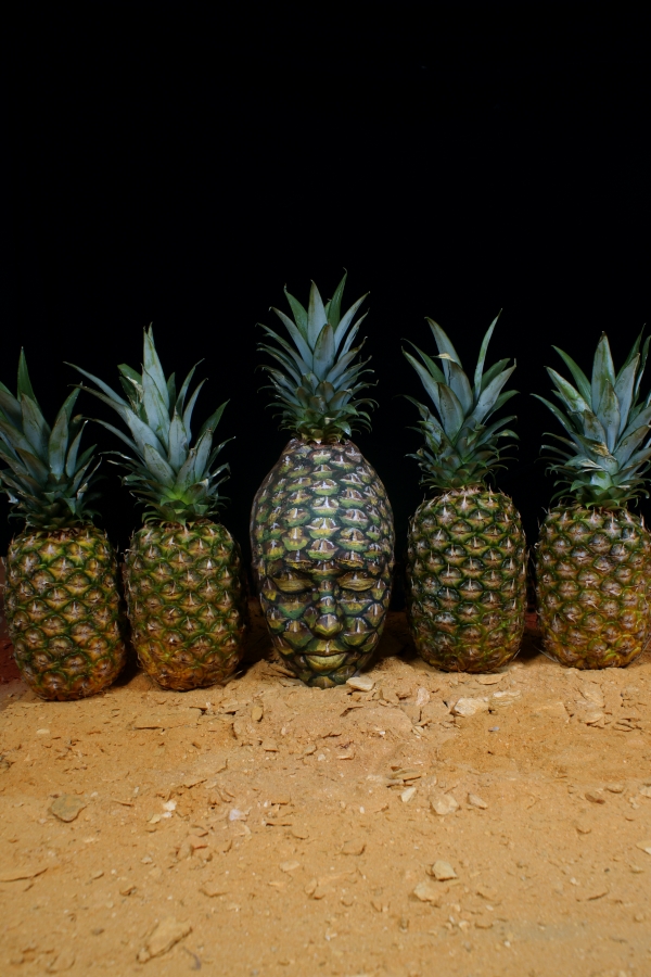 body-art-paintings-nature-inspired-illusions-fruit-5
