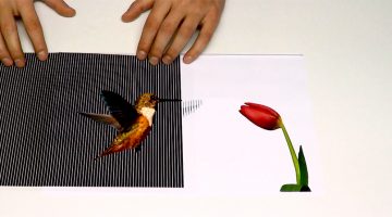 animated-optical-illusions-sliding-transparency