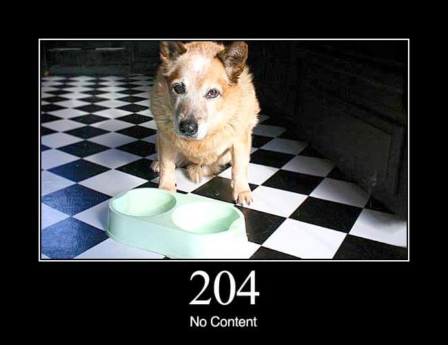 204 No Content: The server successfully processed the request, but is not returning any content.