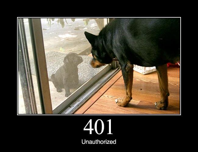 401 Unauthorized: Similar to 403 Forbidden, but specifically for use when authentication is possible but has failed or not yet been provided. The response must include a WWW-Authenticate header field containing a challenge applicable to the requested resource. See Basic access authentication and Digest access authentication.
