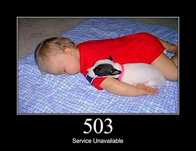 503 Service Unavailable: The server is currently unavailable (because it is overloaded or down for maintenance). Generally, this is a temporary state.