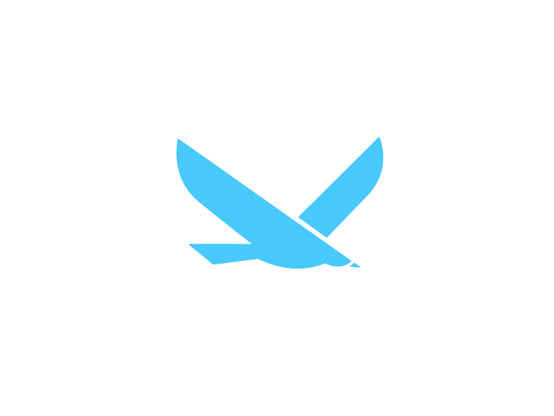 Animal Logo - Seagull