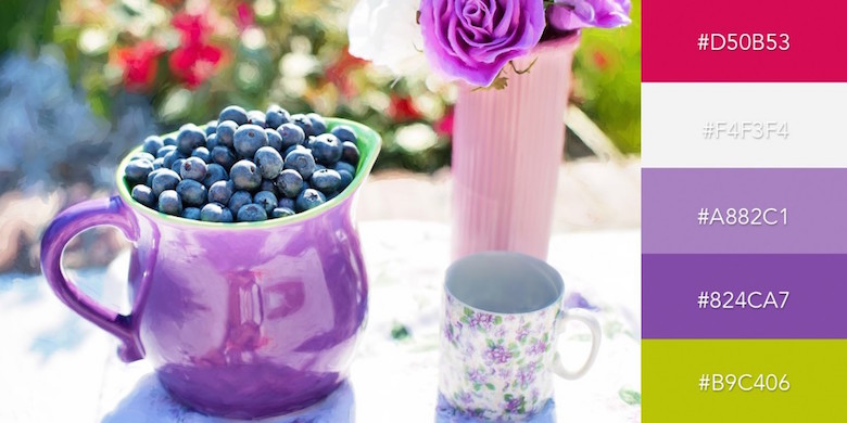 Beautiful color combinations, schemes and palettes - Summer Blueberries