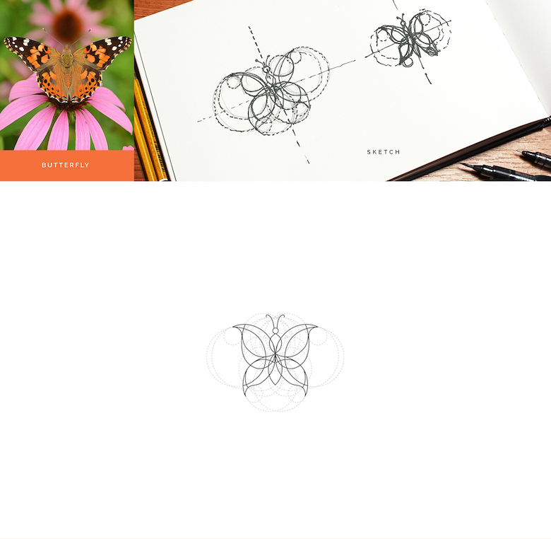 Color animal logos based on circular geometry - Butterfly (1)