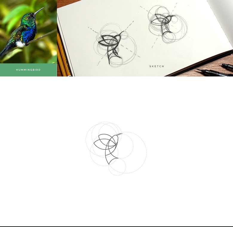 Color animal logos based on circular geometry - Hummingbird (1)