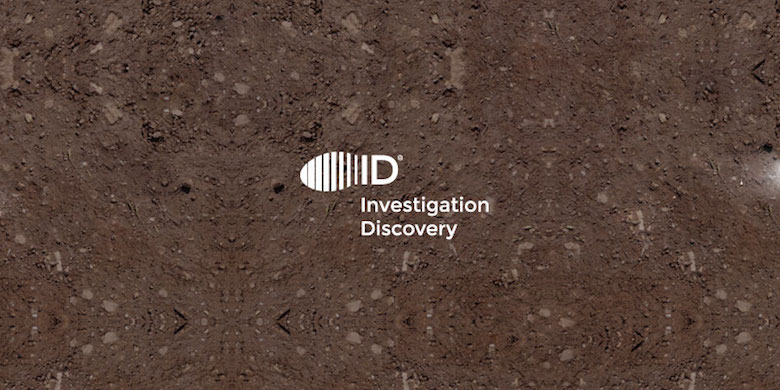 Creative Logo Design Inspiration With Hidden Meanings - Investigation Discovery ID Logo