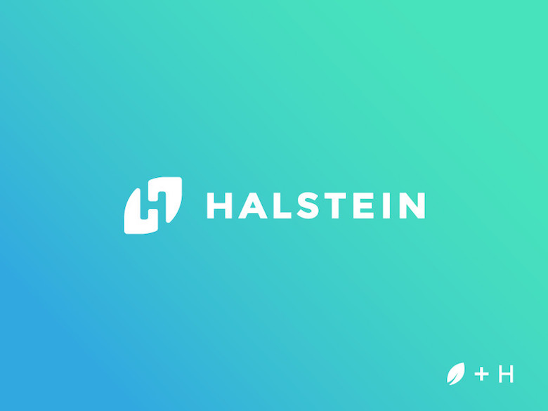 Creative Minimal Logos For Design Inspiration - Halstein