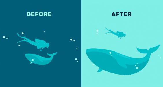 13 Simple Charts That Brilliantly Explain The Principles Of Design