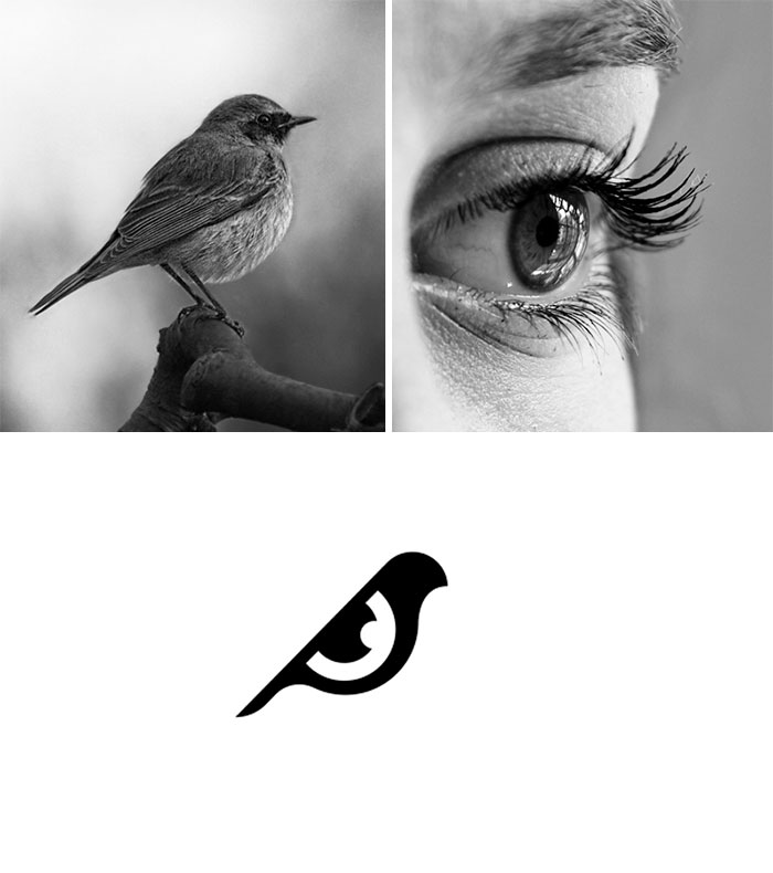 Brand logos made by combining two two objects - Bird Vision