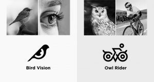 brand-logos-made-by-combining-two-objects