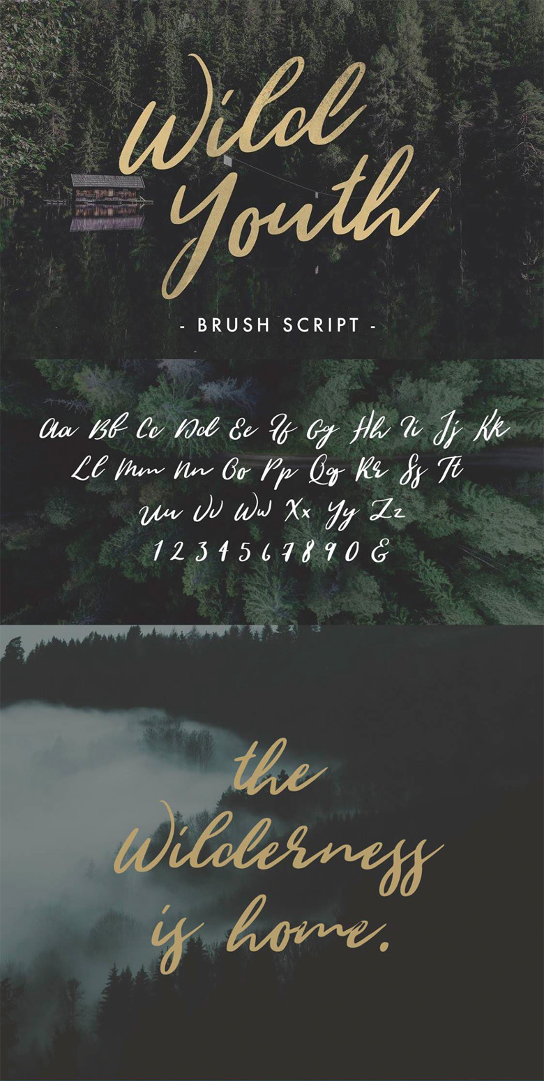 Beautiful free fonts for designers - Wild Youth