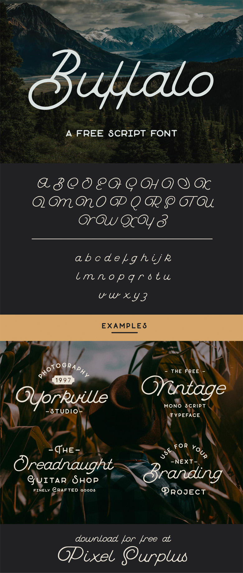 Beautiful free fonts for designers - Buffalo