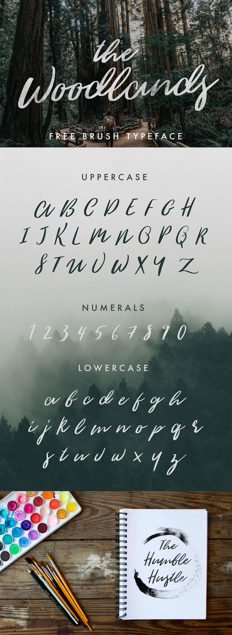 Beautiful free fonts for designers - The Woodlands