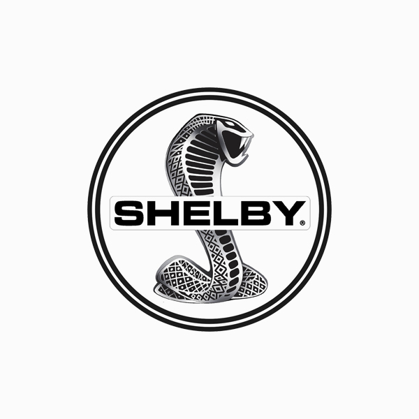 Pair 3D Metal Shelby Logo Car Emblem Cobra Snake Badge Side Fender Sticker  Decal For Mustang GT500 (Red&Black) : Amazon.in: Car & Motorbike