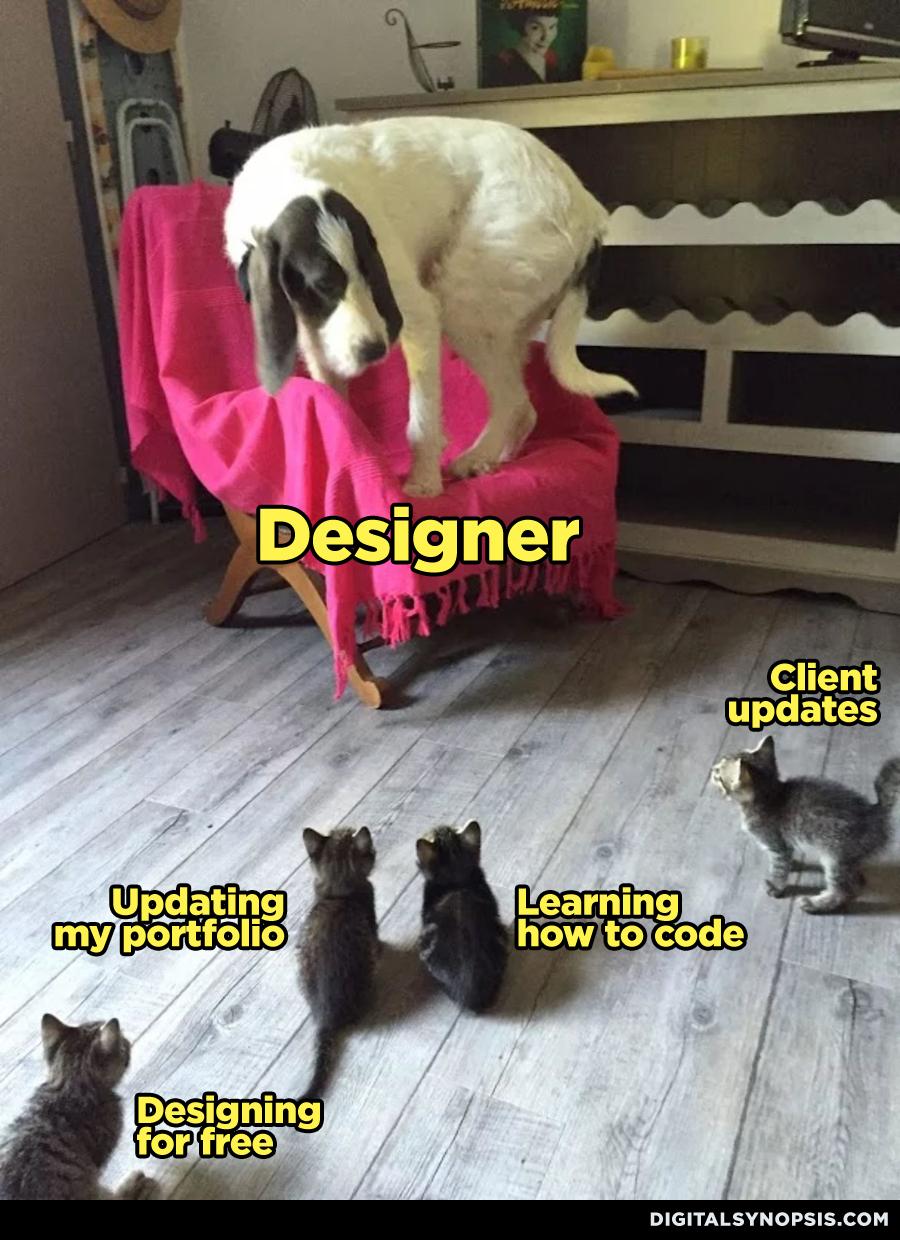 Designer Dog vs. Kittens