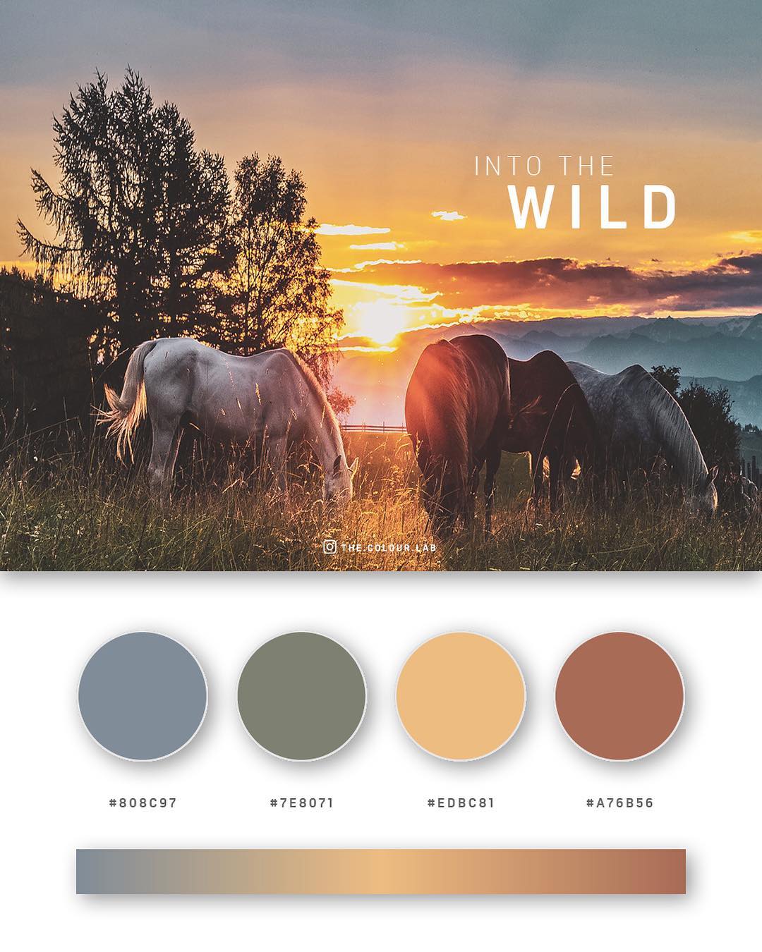Nature Based Color Palette Nature Based Color Palette