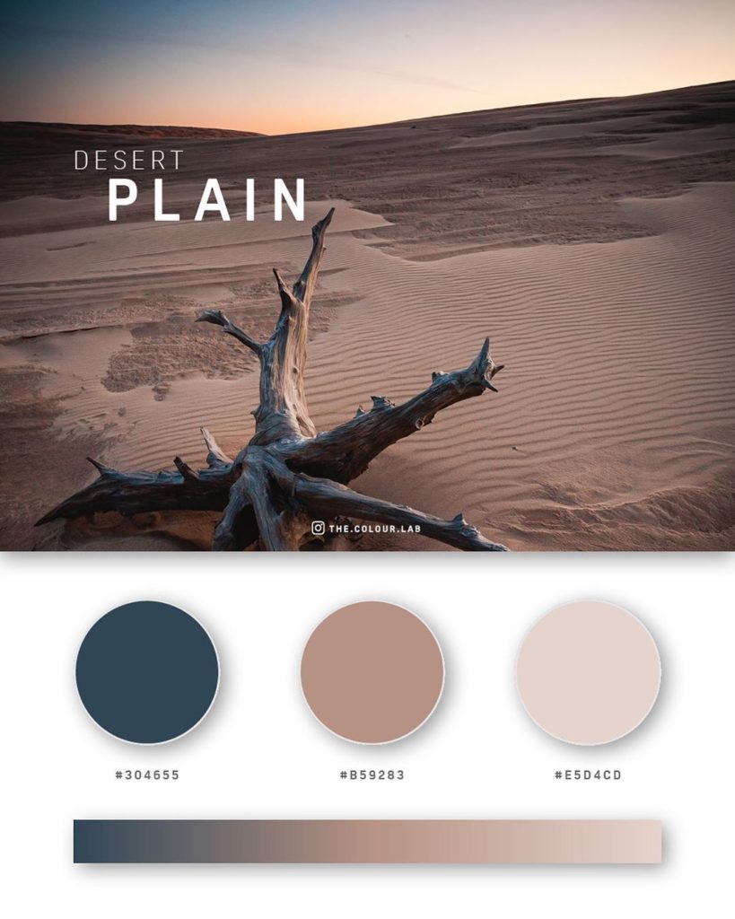 37 Beautiful Color Palettes For Your Next Design Project