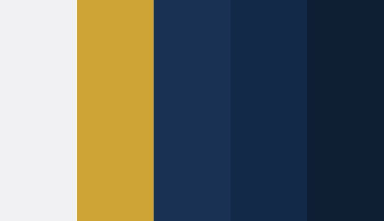 Logo color combinations - Navy, white, and yellow