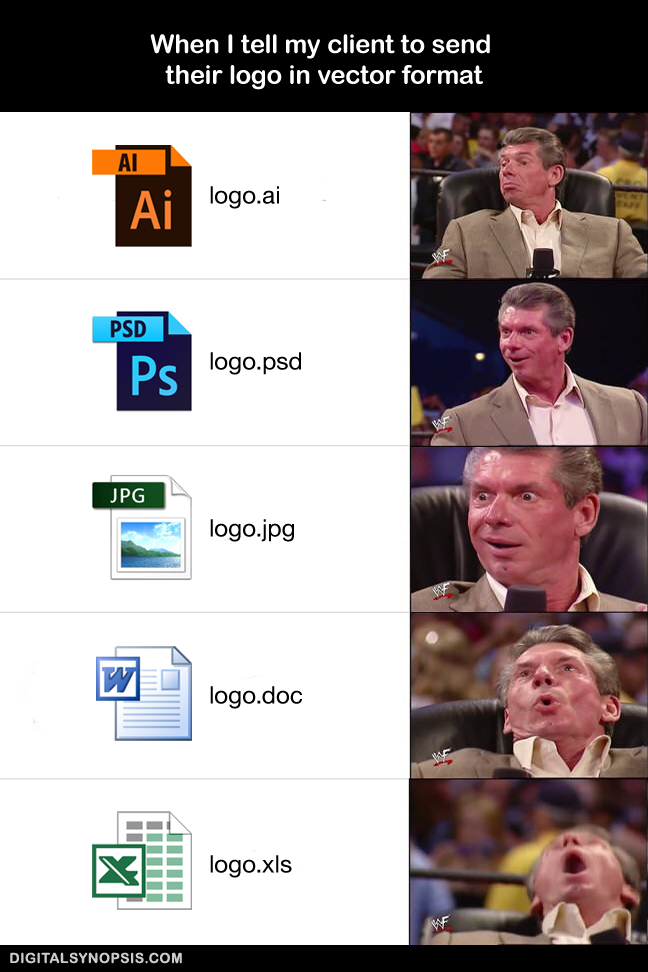 When I tell my client to send their logo in vector format - logo.ai, logo.psd, logo.jpg, logo.doc, logo.xls (Vince McMahon)