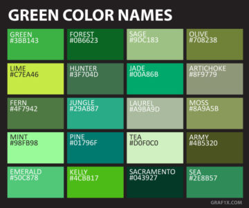 Names And Codes Of All Color Shades