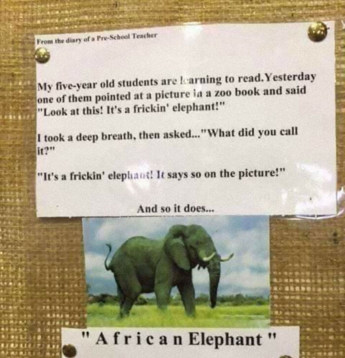 Funny Letter-Spacing & Kerning Fails - African Elephant