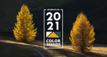 2021 Color Trends: The World’s Most Popular Colors