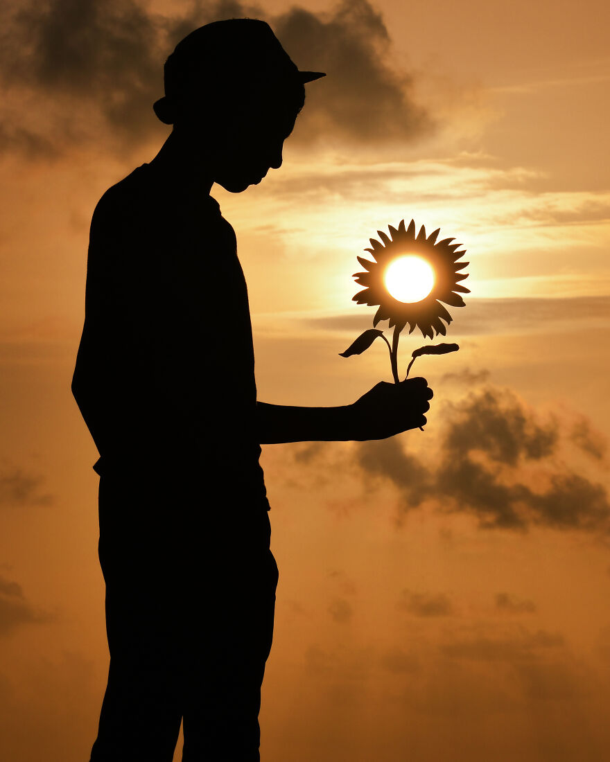 Summer Sunflower Sunset - Landscape and Nature Photography on Fstoppers