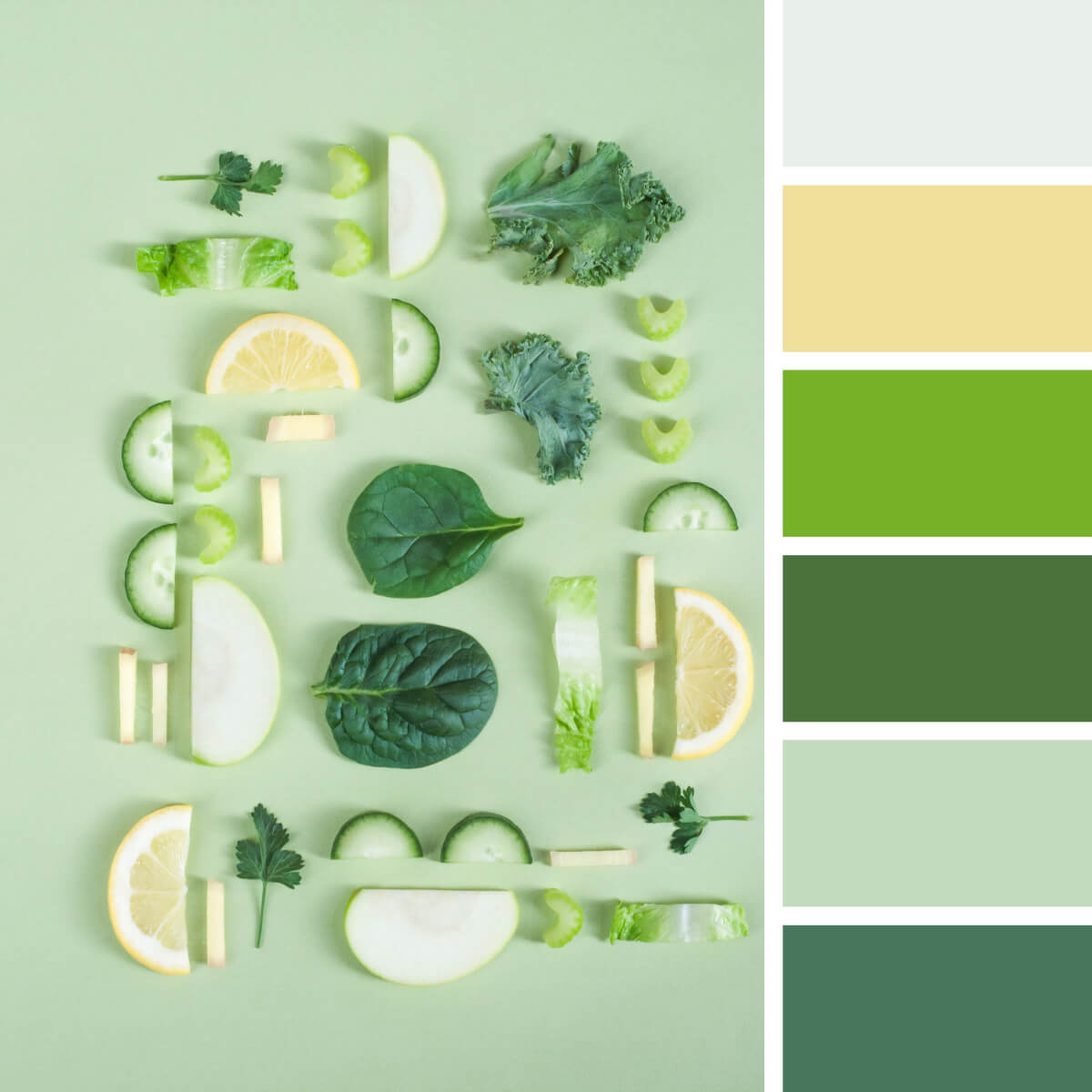 Green color shades, combination, palette, scheme