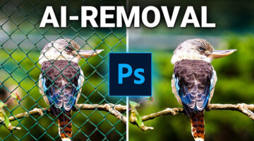 photoshop-remove-tool