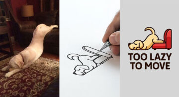 Designer transforms an ordinary photo into a clever illustrated logo concept