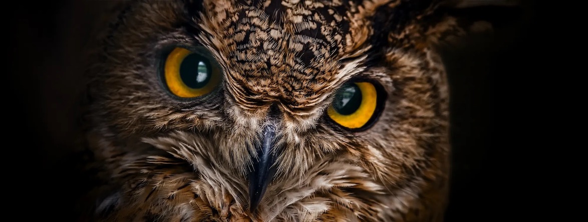 Adobe Photoshop Generative AI features - Adjustment Brush