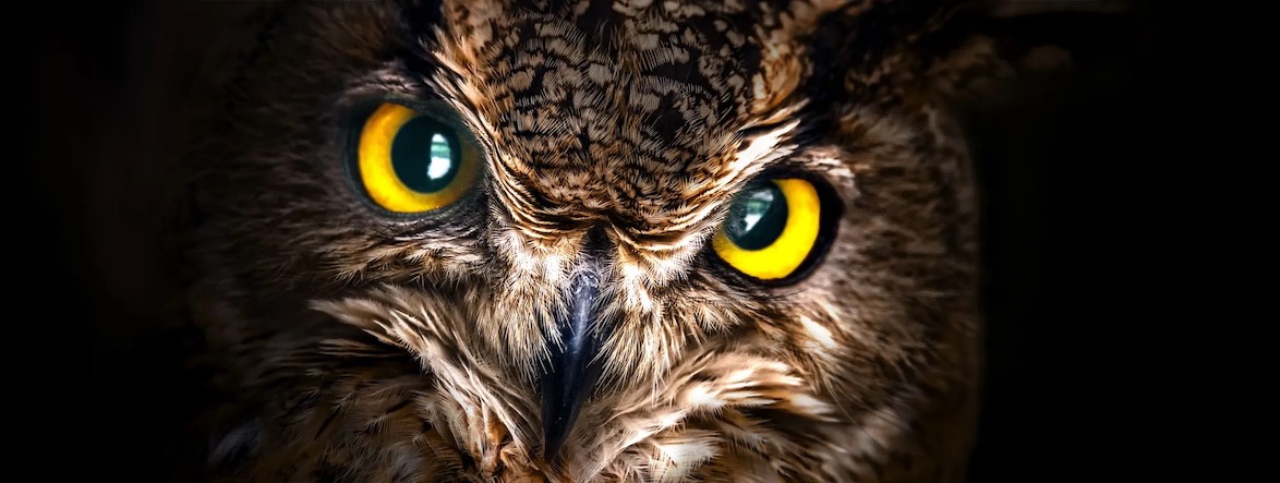 Adobe Photoshop Generative AI features - Adjustment Brush 2