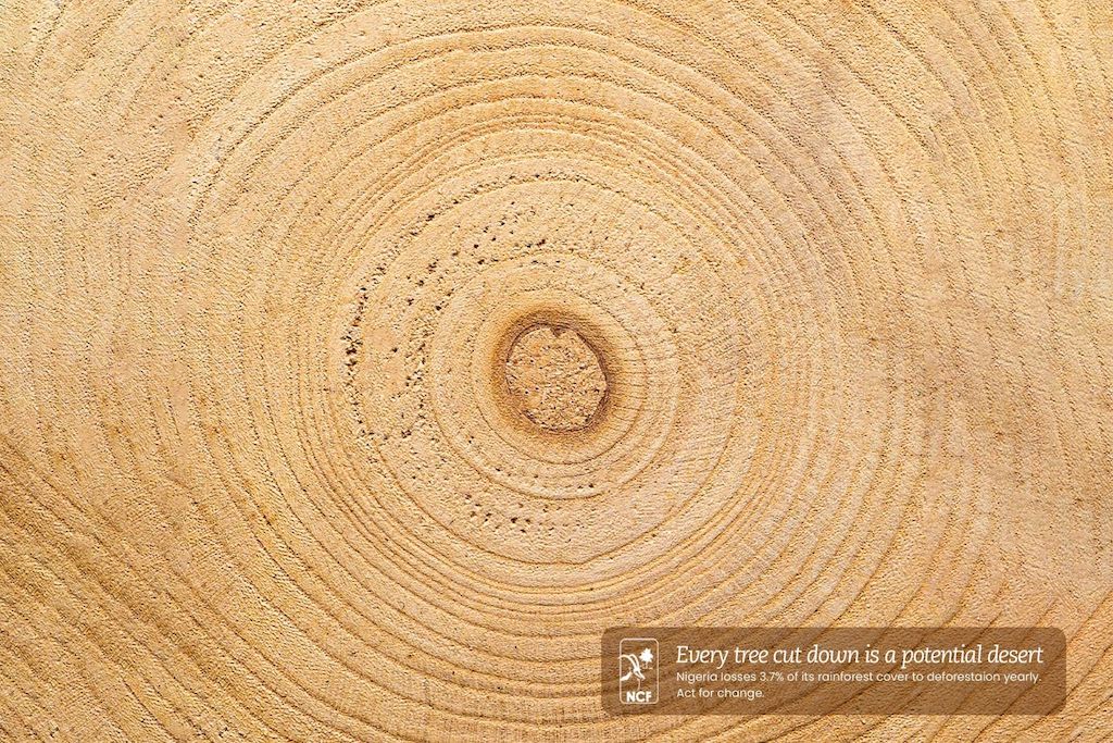 Clever Ads - NCF, Deforestation