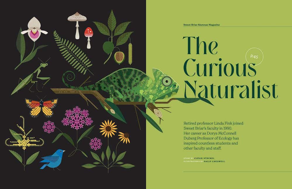 Graphic Design Trends 2025 - Nature-Inspired Patterns (Example 2)