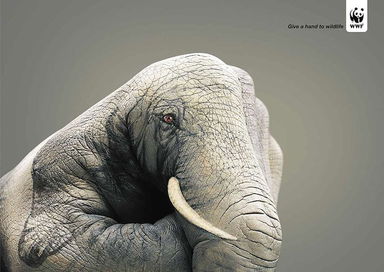 WWF: Elephant