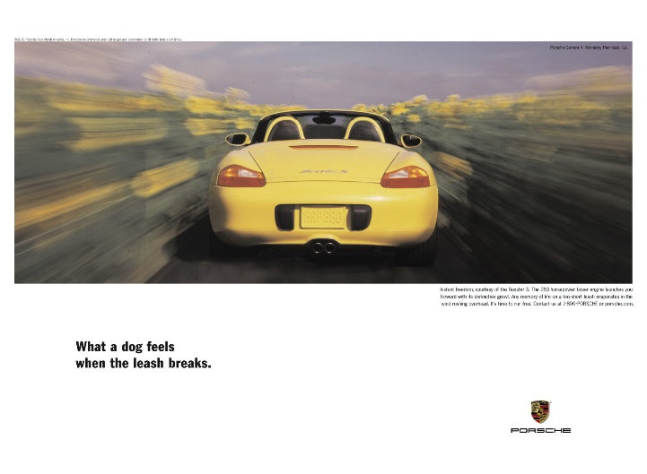 What a dog feels when the leash breaks. - Porsche What a dog feels when the leash breaks. - Porsche