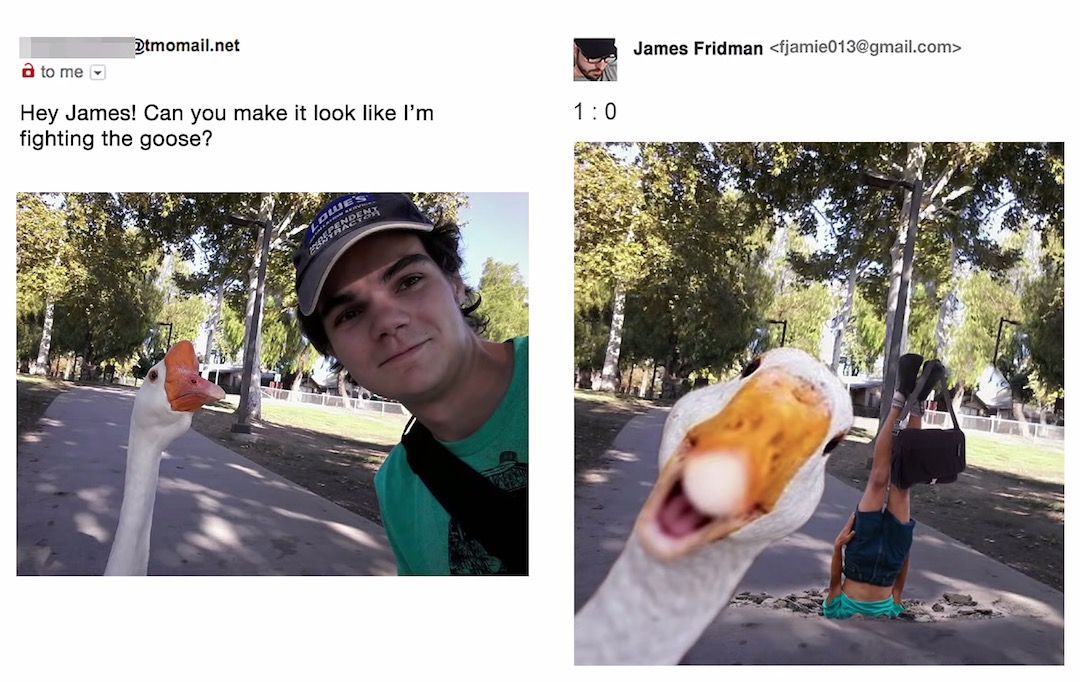 Literal Photoshop Edits by James Fridman - Fighting goose