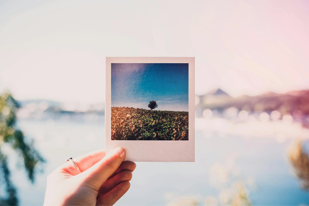 Hand holding a printed photo of a tree with a scenic landscape in the background