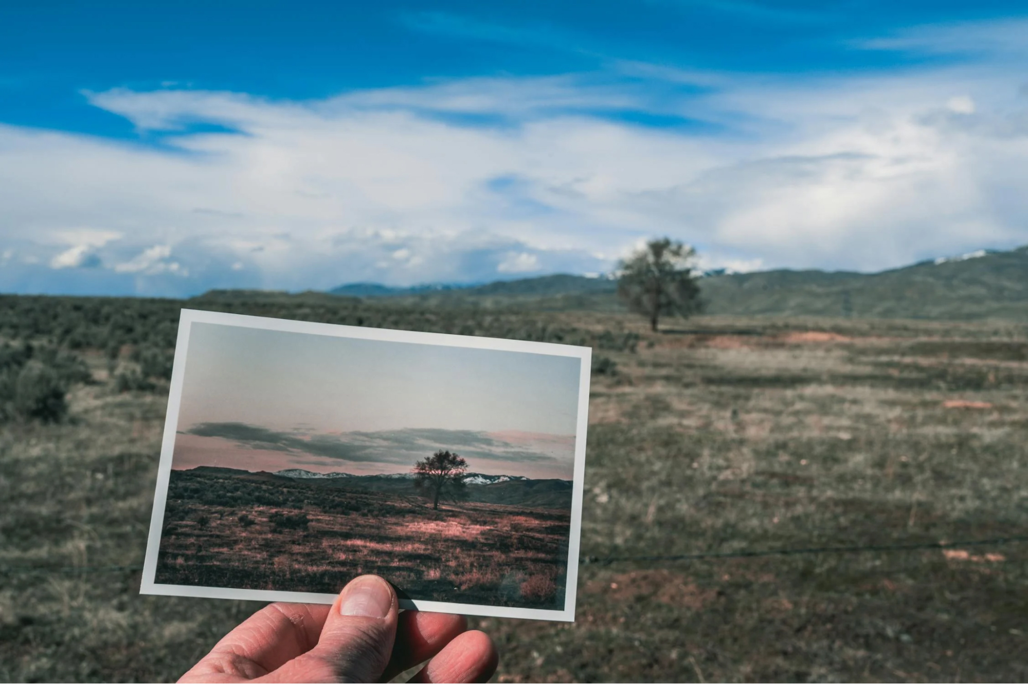Person holding a photo that aligns with the real landscape in the background