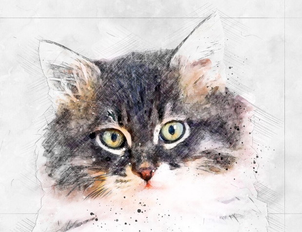 Custom paint-by-numbers artwork of a fluffy cat created from a personal photo.