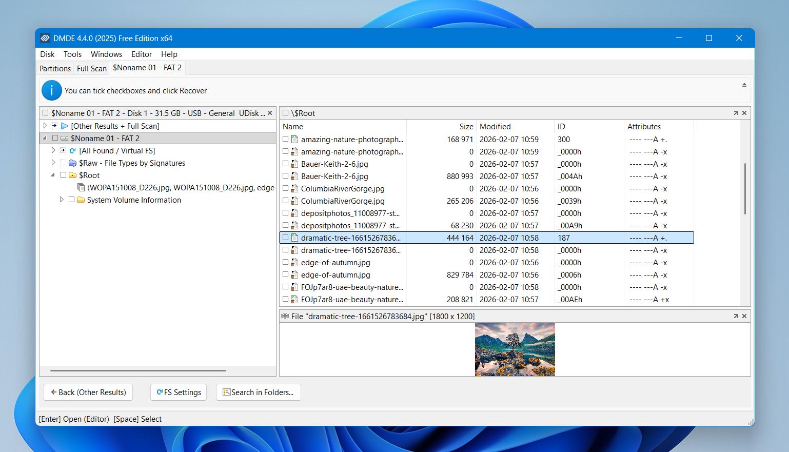 DMDE data recovery software interface showing recovered image files