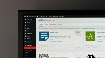 WordPress admin dashboard showing plugin options on a website management screen