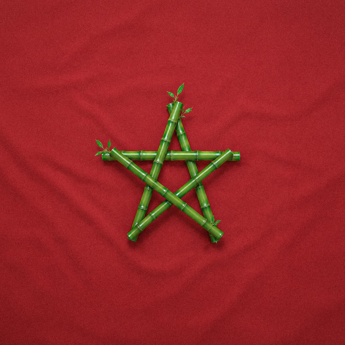 Morocco flag recreated with green bamboo arranged as a five-pointed star on a red background