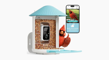 Award-winning smart bird feeder design for modern garden spaces